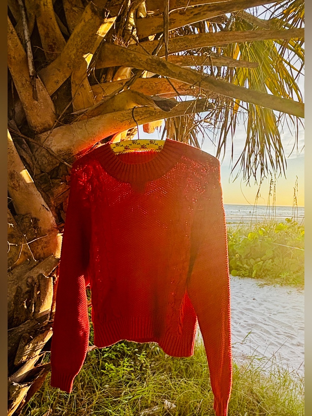NWOT Billabong Women's Burnt Orange Cropped Crewneck Knit Sweater